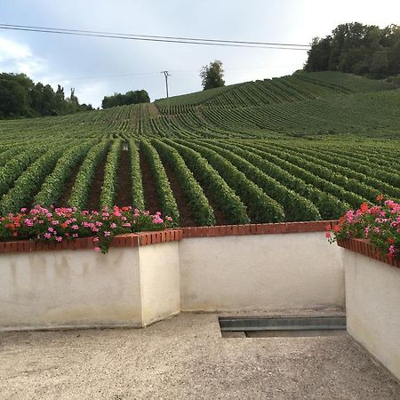 Villa La Loge Du Vigneron Vauciennes  Esterno foto
