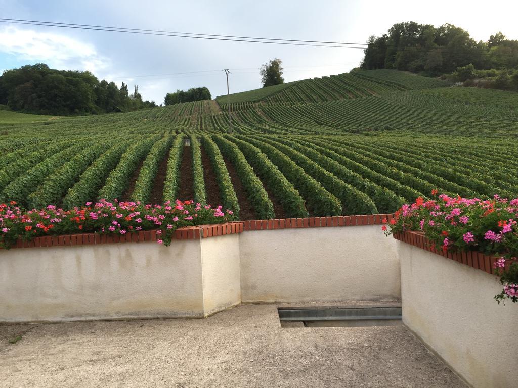 Villa La Loge Du Vigneron Vauciennes  Esterno foto